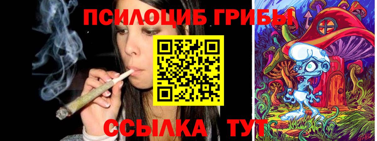 Новокуйбышевск  Галлюциногенные грибы Magic Shrooms  Галлюциногенные грибы мицелий  Вход с VPN 